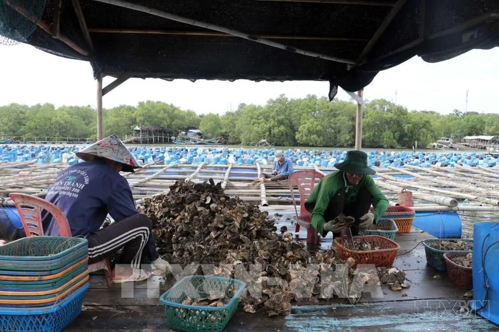 Kinh tế thủy sản và kỹ năng số